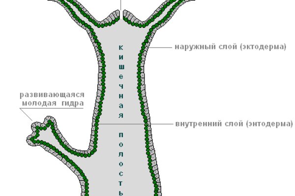 Как выводить деньги с кракена